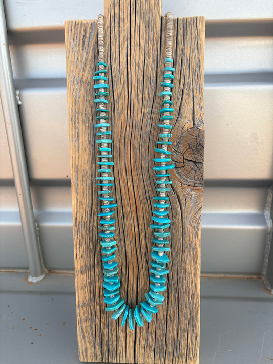Sleeping Beauty Turquoise and Heishi Necklace
