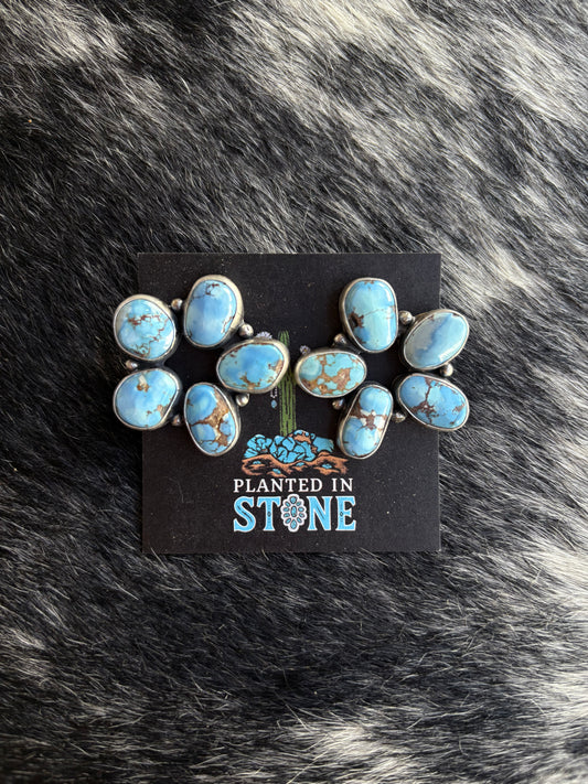 Golden Hills Statement Clusters