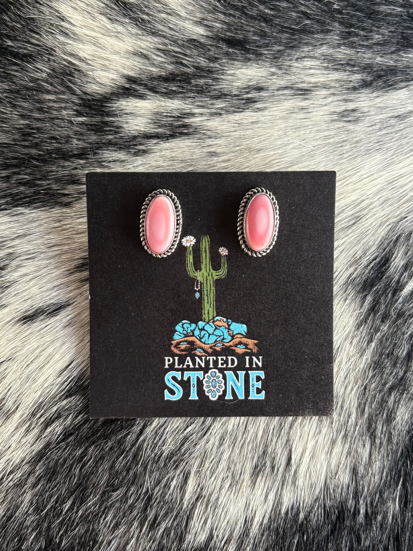 Pink Conch Oval Studs