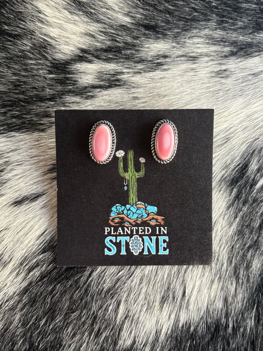 Pink Conch Oval Studs
