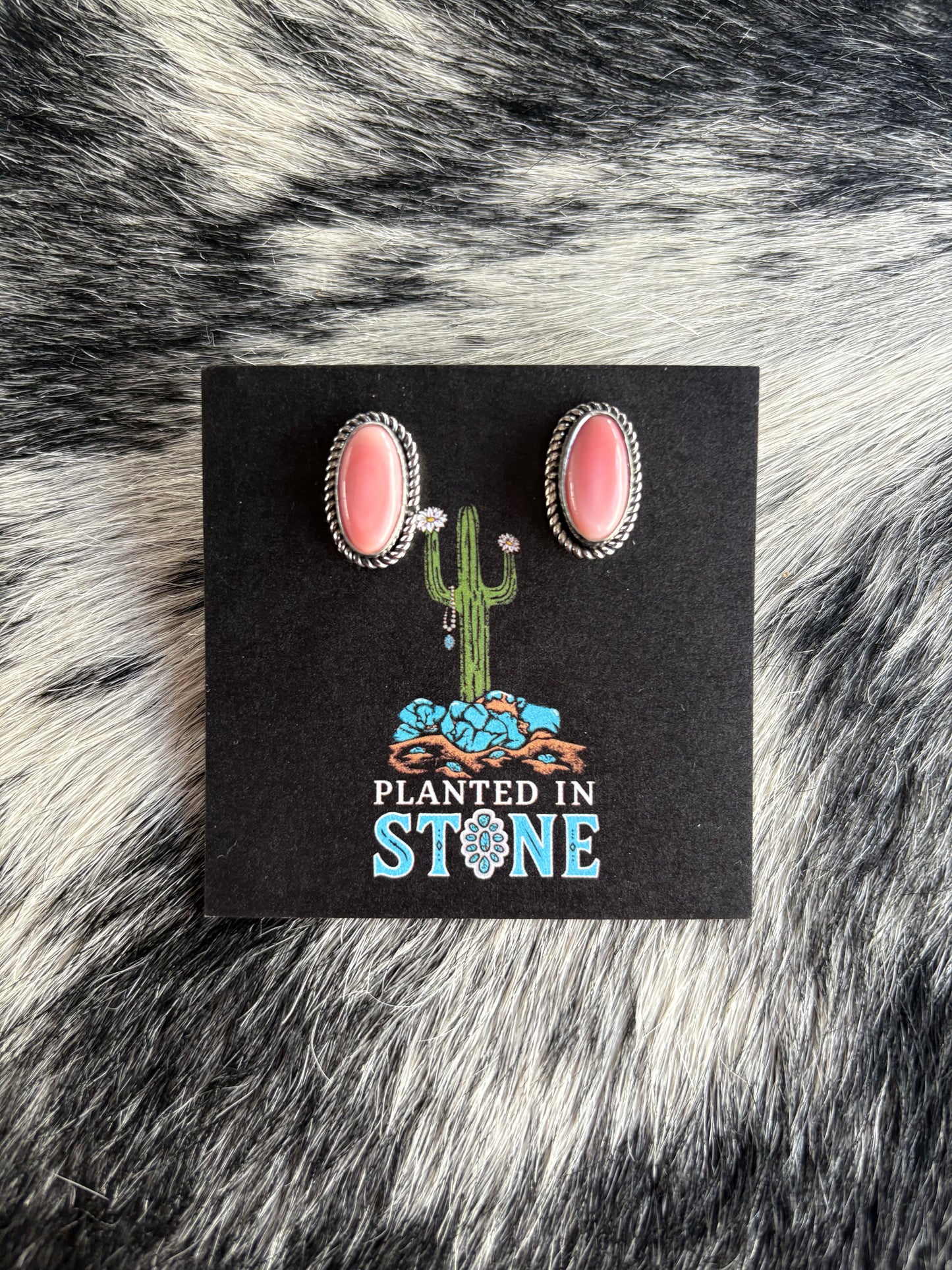 Pink Conch Oval Studs