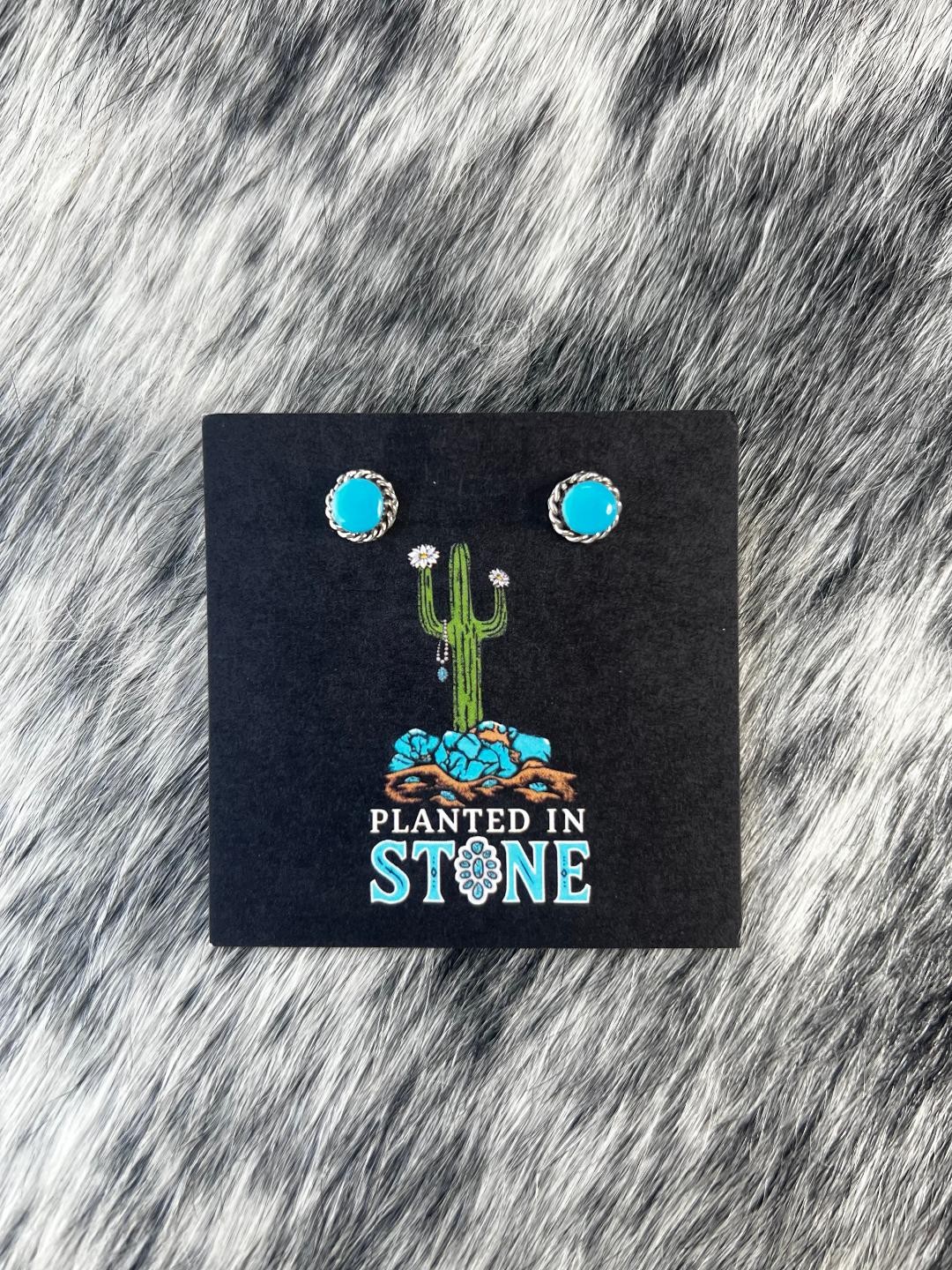 Simple Turquoise Studs